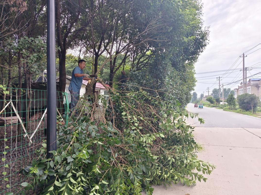 长丰县下塘镇：打好道路交通“组合拳”筑牢群众出行“安全线”