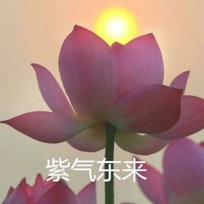 欢迎来到爱游戏网站