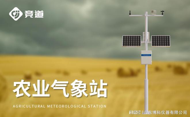 实时气象监控提升农作物产量：小型农业气象监测站的作用(图3)