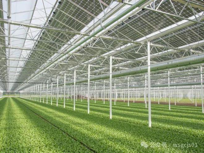 这就是新型智能温室大棚的特点(图4)