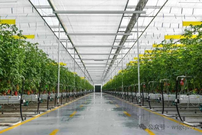 这就是新型智能温室大棚的特点(图8)