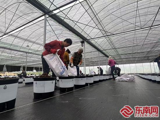 长泰林墩：泥浆池“变形记”(图1)