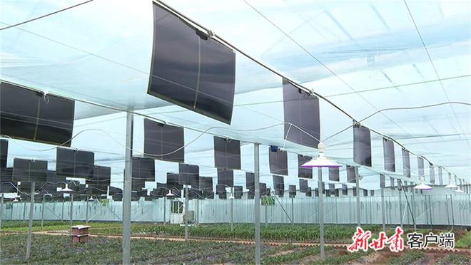 科技范儿拉满！智慧农业助力甘肃春耕生产！