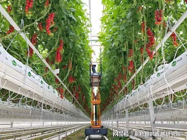 PG电子科技：现代设施农业是农业现代化进程中的关键力量(图2)