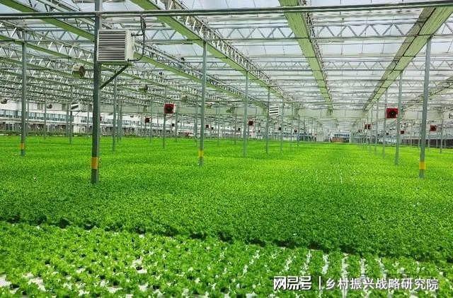 PG电子科技：现代设施农业是农业现代化进程中的关键力量(图5)