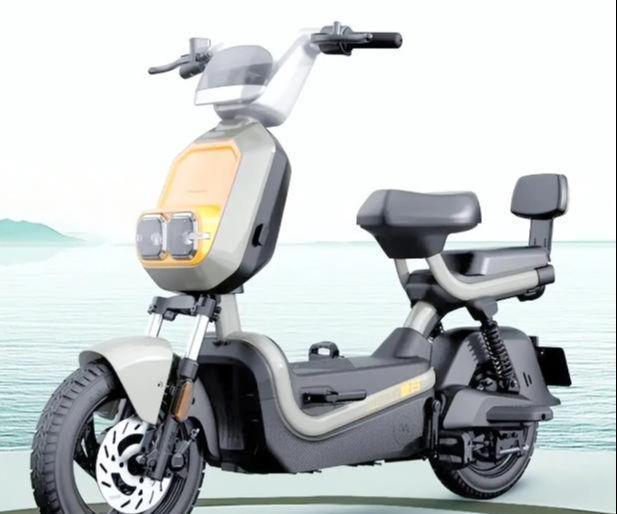 新国标颠覆认知的3个暴击！9月1日起这类电动自行车无法上牌！(图2)