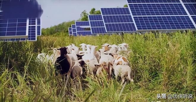 中国沙漠光伏创造奇迹！联合国亲自认证发电量等同20个三峡大坝(图14)