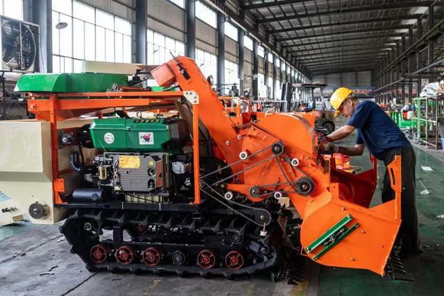 出海记从种子到市场湖南打造对非农业合作系统样本(图2)