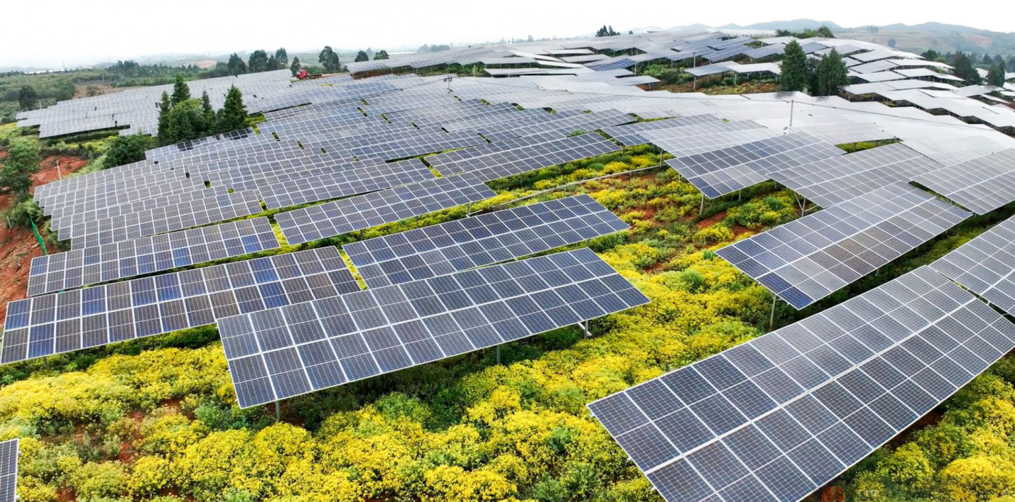 全力推进中药产业链建设持续增强核心功能(图3)