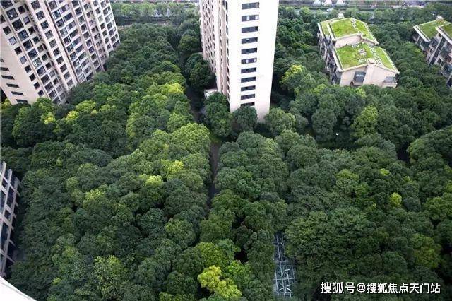 聚焦中鹰黑森林售楼处发布：中鹰黑森林高端传世奢居(图2)