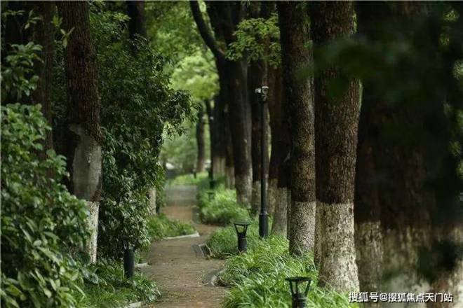 聚焦中鹰黑森林售楼处发布：中鹰黑森林高端传世奢居(图5)