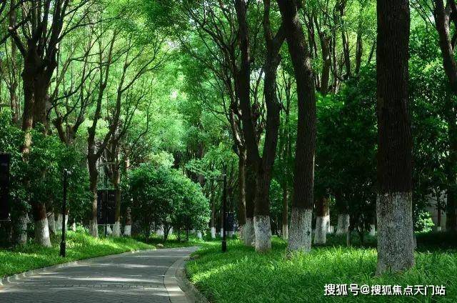 聚焦中鹰黑森林售楼处发布：中鹰黑森林高端传世奢居(图32)