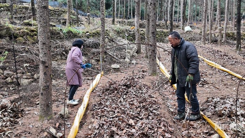 喜看家乡新变化陕西留坝：绘就乡村振兴新图景(图2)