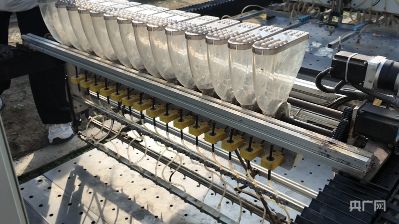 喜看家乡新变化陕西留坝：绘就乡村振兴新图景(图4)