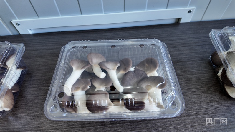 喜看家乡新变化陕西留坝：绘就乡村振兴新图景(图8)