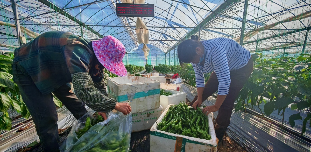 PG电子科技：广西壮族自治区人民政府门户网站