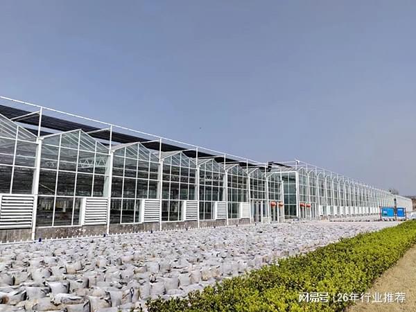2026知名的智能温室大棚连栋玻璃大棚生产厂家重点推荐(图1)