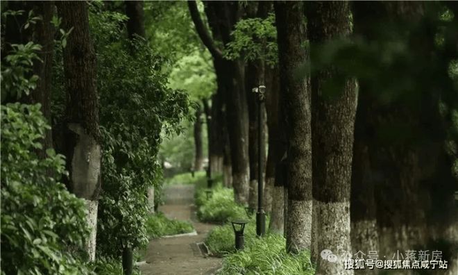 聚焦中鹰黑森林售楼处发布：铸就城市生活新范本！(图4)