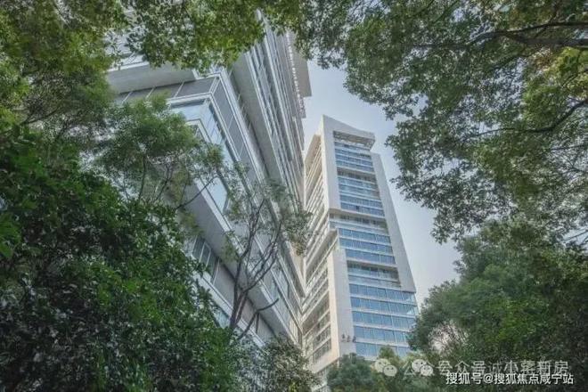 聚焦中鹰黑森林售楼处发布：铸就城市生活新范本！(图7)