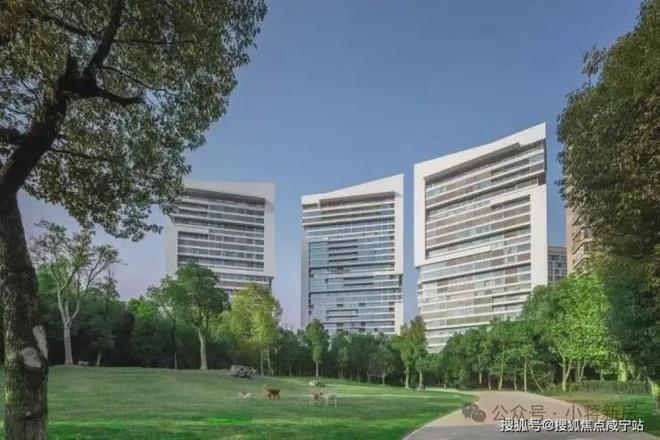 聚焦中鹰黑森林售楼处发布：铸就城市生活新范本！(图12)