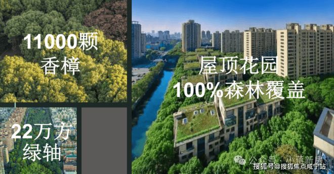 聚焦中鹰黑森林售楼处发布：铸就城市生活新范本！(图3)
