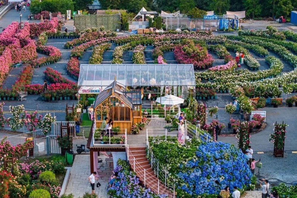 三条路线世界花园大会打造沉浸式春日体验(图1)