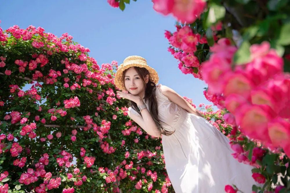 三条路线世界花园大会打造沉浸式春日体验(图4)