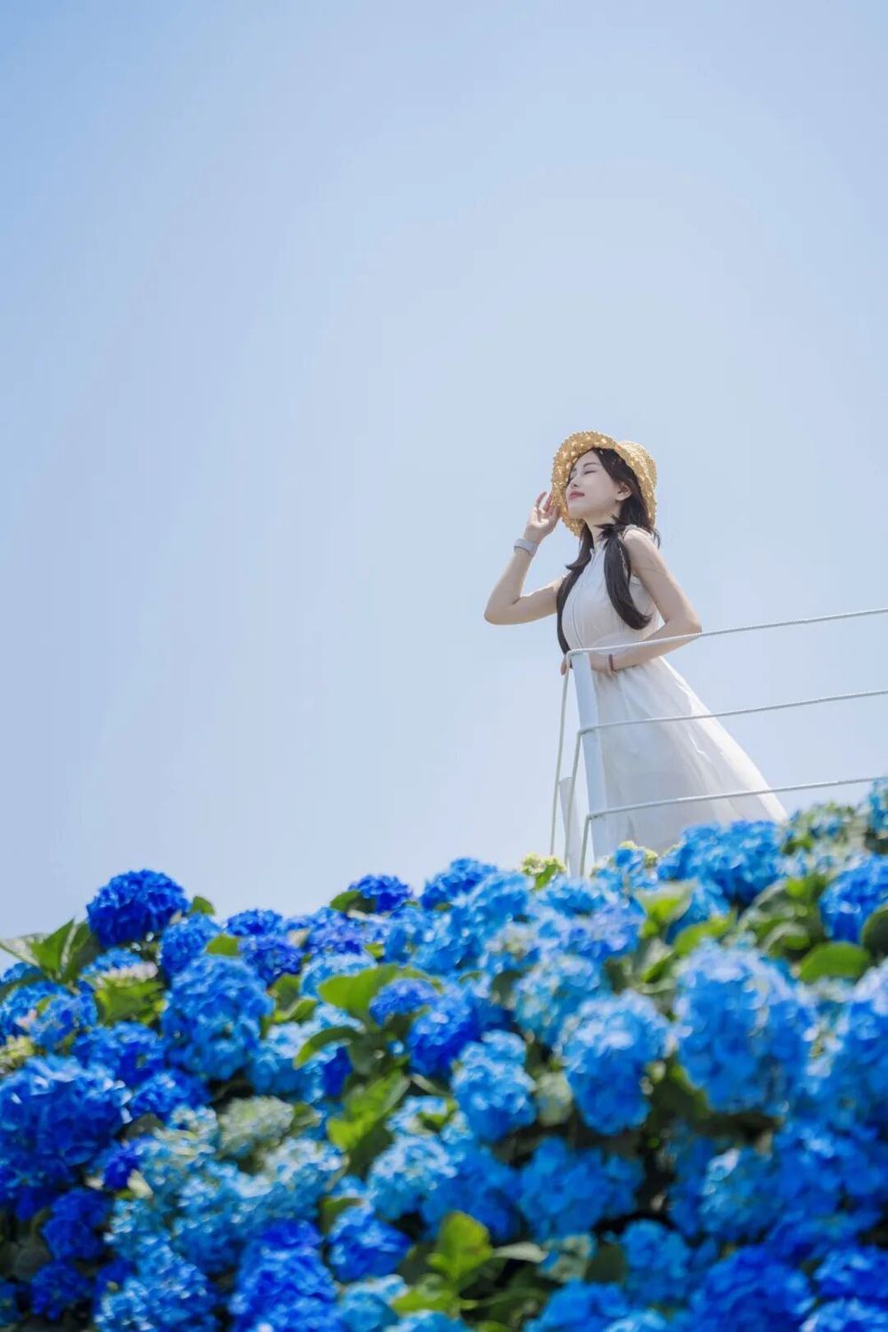 三条路线世界花园大会打造沉浸式春日体验(图5)