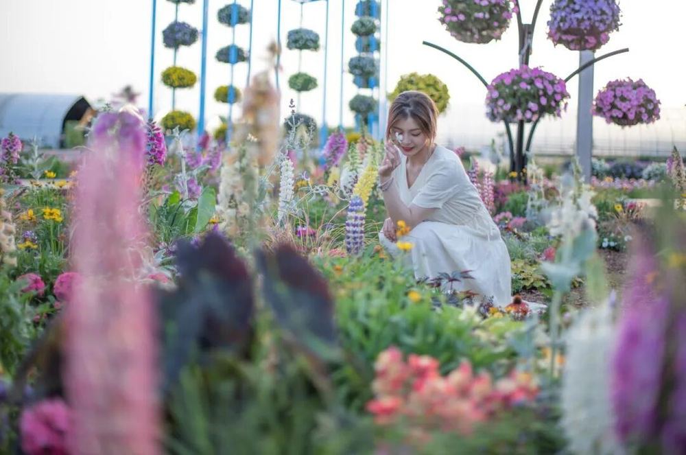 三条路线世界花园大会打造沉浸式春日体验(图6)