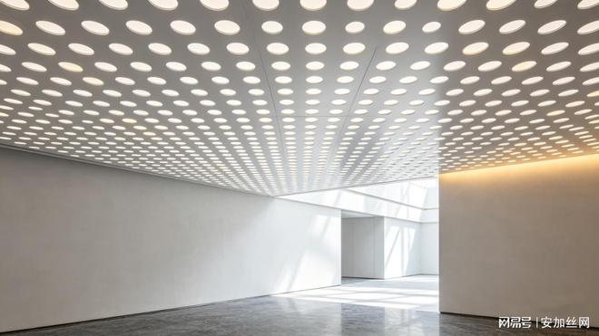 【行业前瞻】2026年冲孔铝板的3种高级玩法正改变商业建筑面貌(图4)
