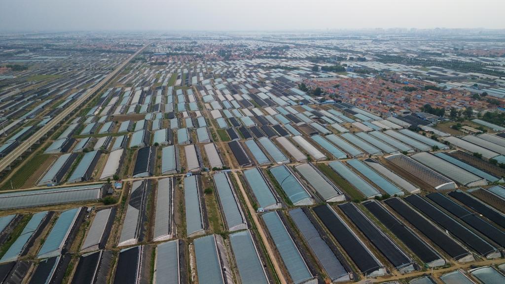 经济大省调研行在这里钢厂开始造卫星一粒种子能撬动一个产业链……(图5)